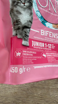 Comida Pienso para gato Junior Purina
