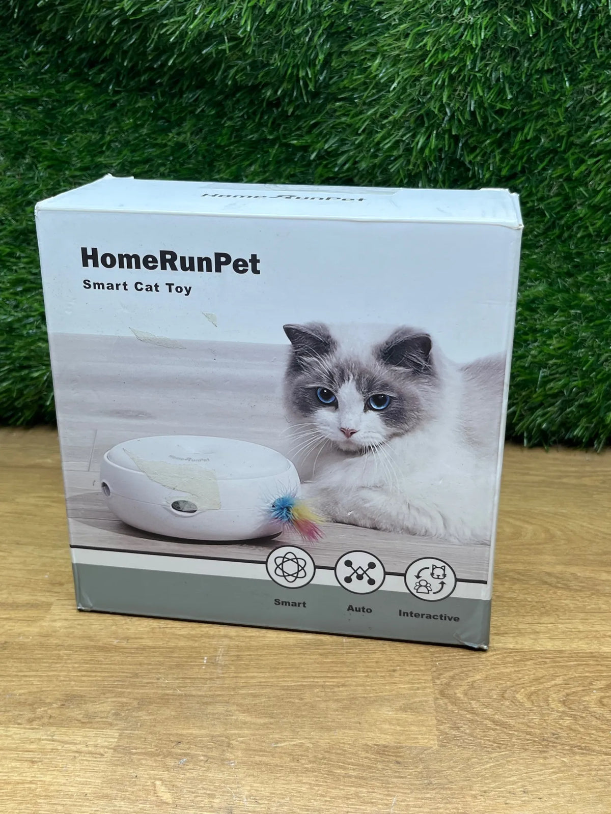Juegos para Gatos Interactivos