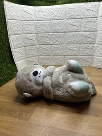 Nutria Fisher-Price