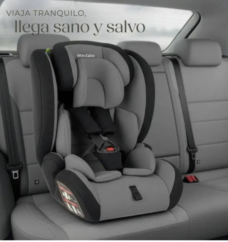 Silla de coche