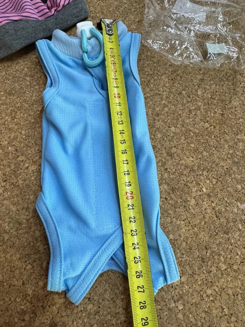 Body