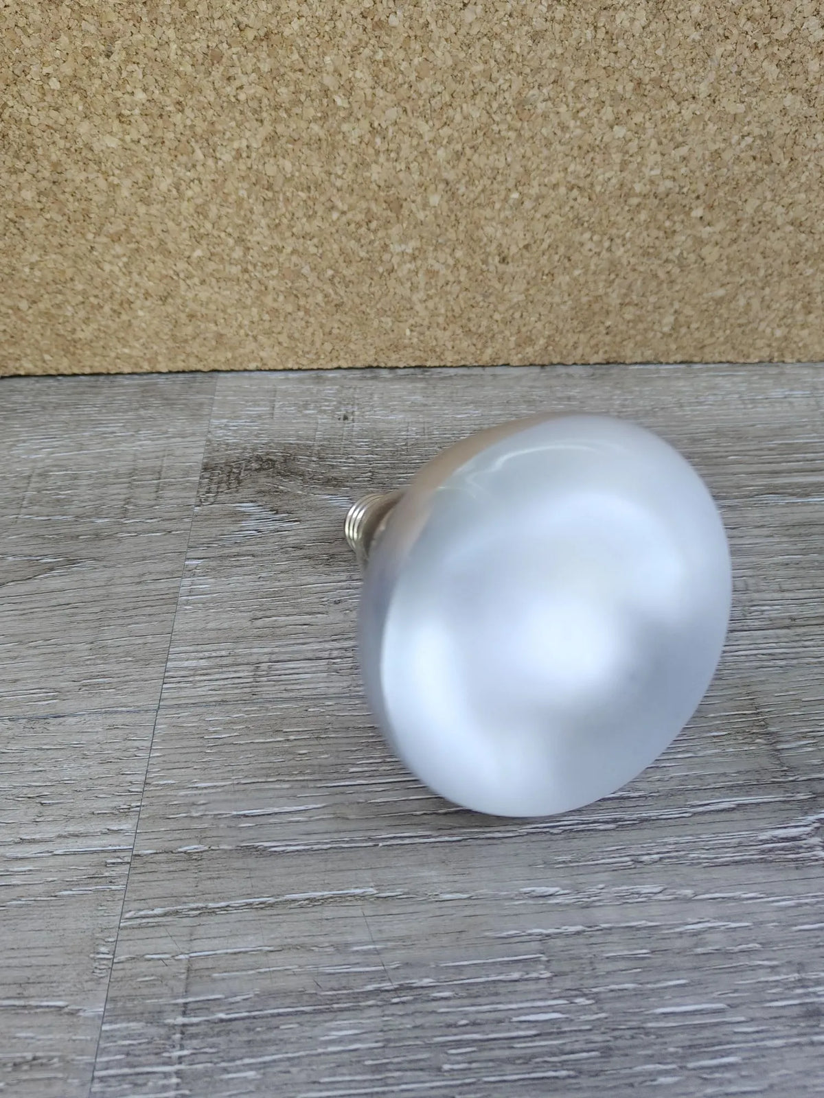 Bombilla solar Exo Terra