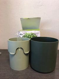 Maceta para cultivo
