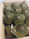 Clavos en bobina - Tacwise