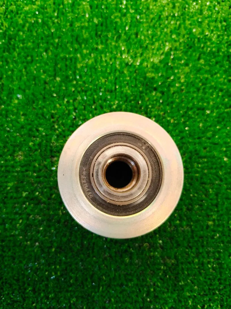 Rueda Libre Alternador