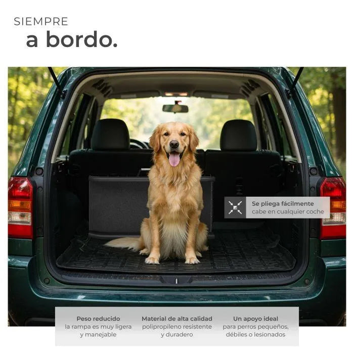Rampa para mascotas negra