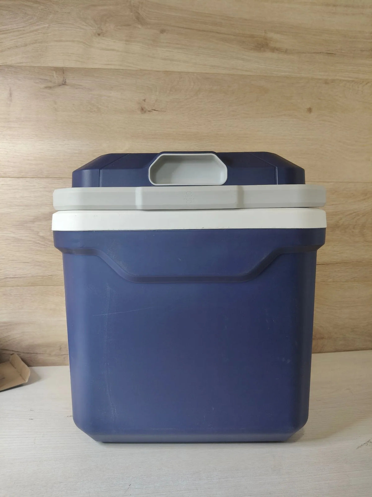 Nevera con Función de Refrigeración y Calentamiento, 12 V CC/230 V - AMAZON BASICS