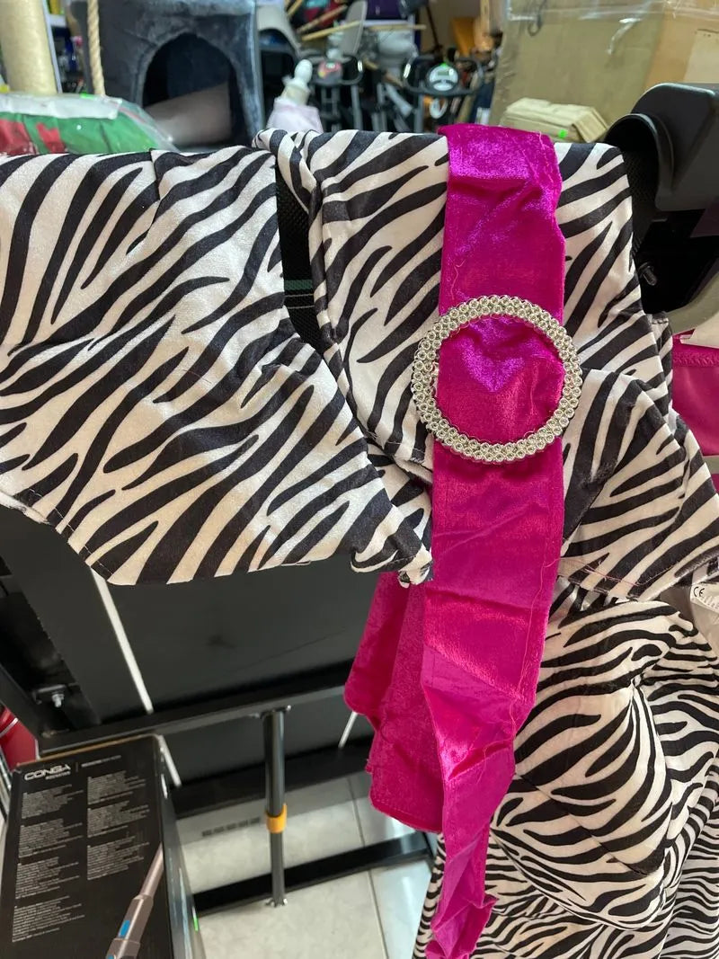 Traje de carnaval
