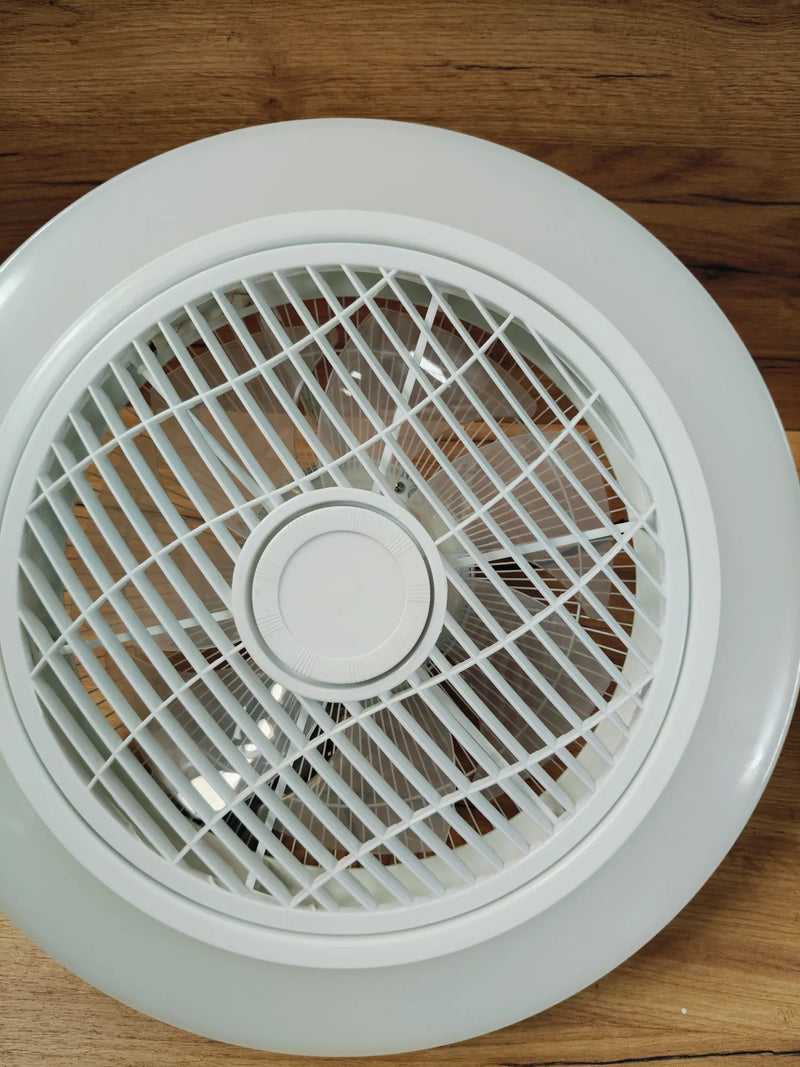 Ventilador de techo