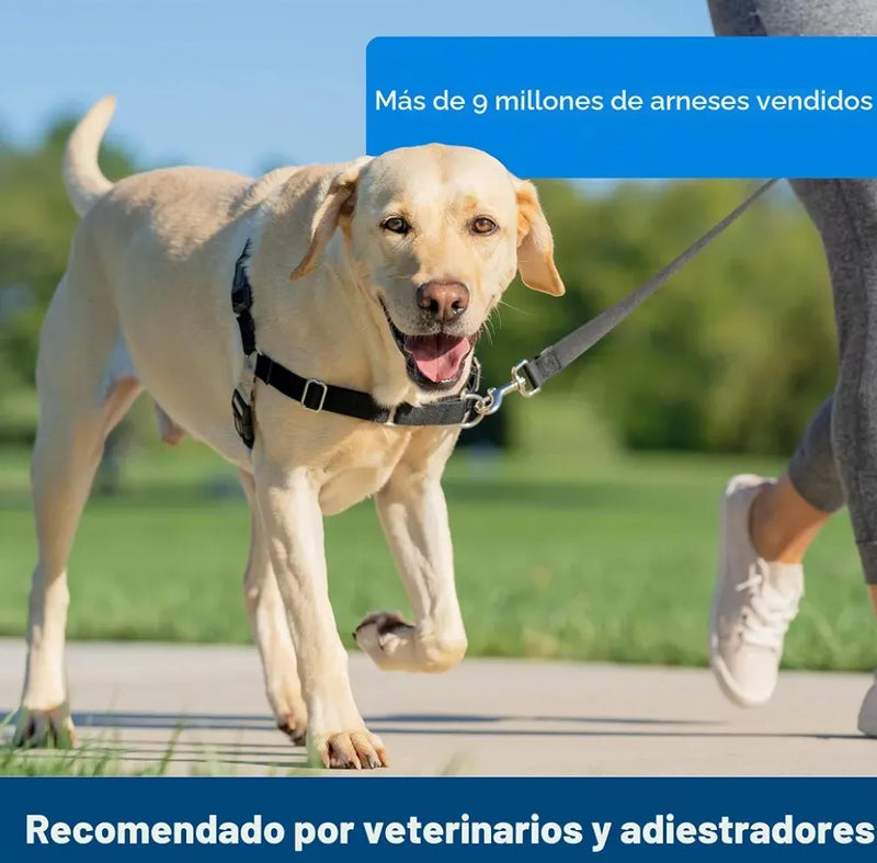 Arnés de paseo con anillas - Petsafe