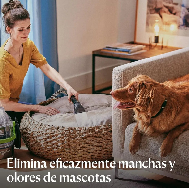 Aspiradora de agua para tapicería - Bisell