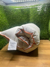 Almohada de Plumas 40x80cm Orange Wave