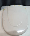Asiento aurea