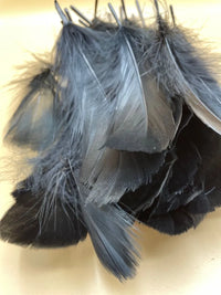 Plumas De Decoración, Piezas