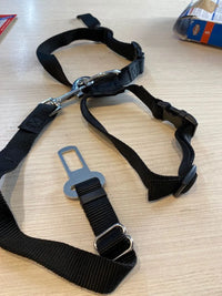 Arnés para Coche para Perros