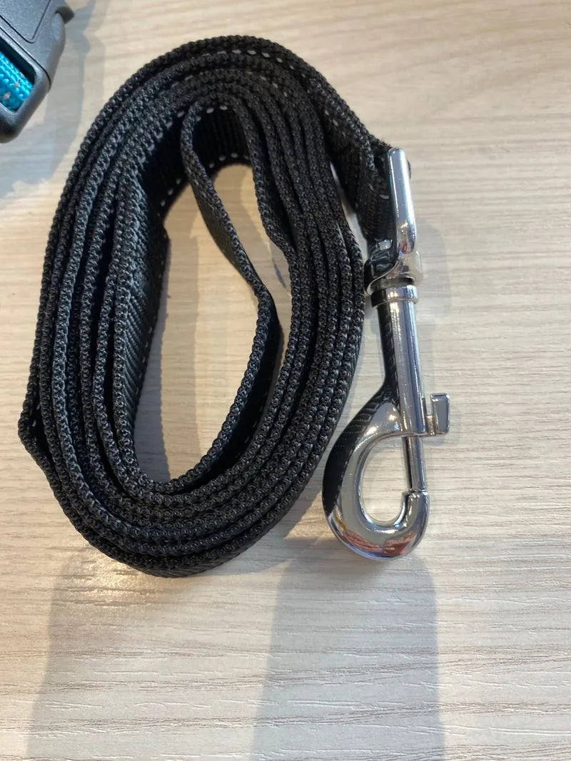 Correa para Perros PetSafe Easy Walk Deluxe Azul