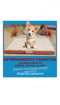 Soporte de almohadillas para perros - Out