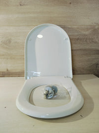 Asiento de Inodoro - Ibergrif