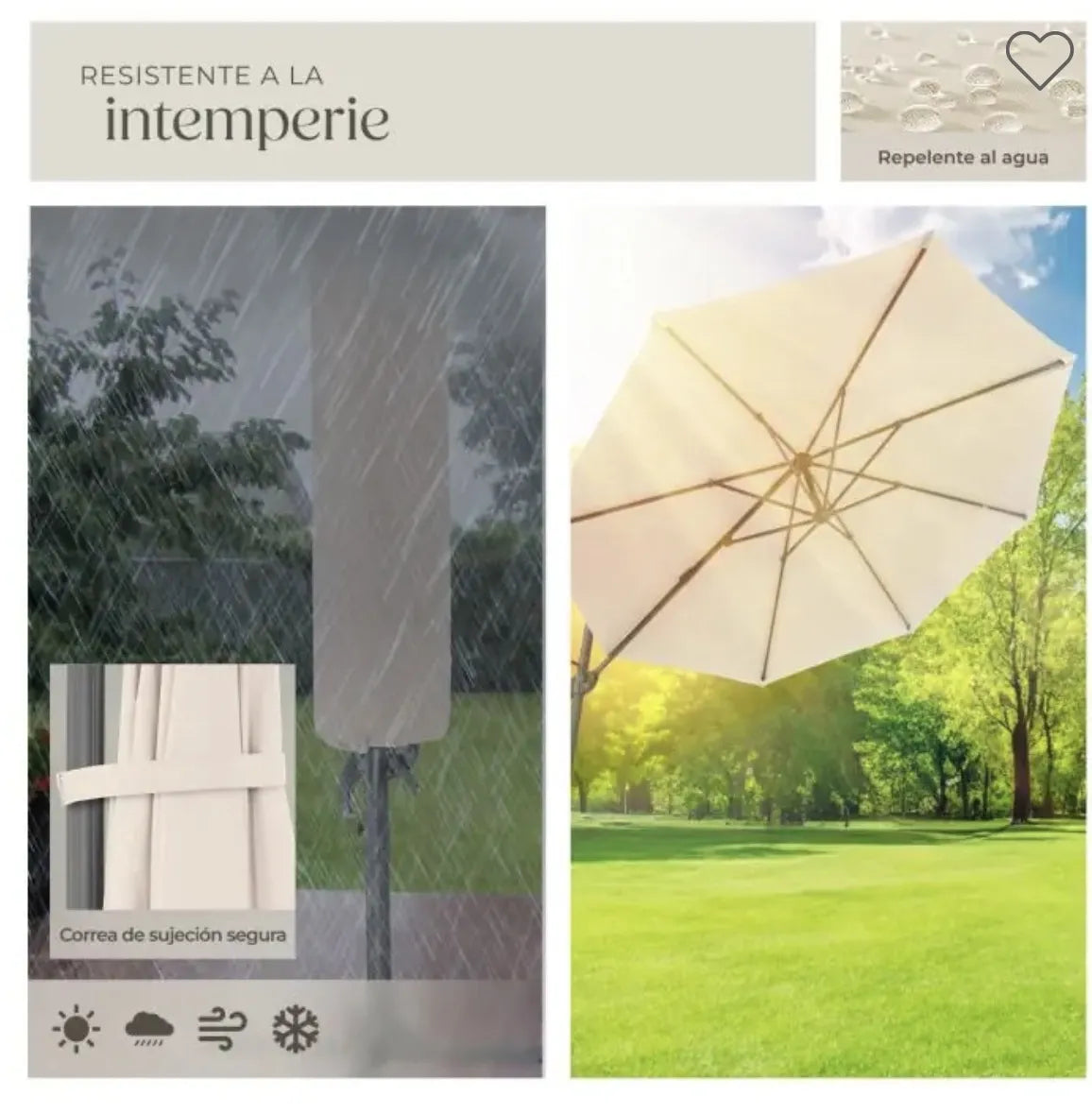 Parasol