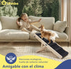 Rampa para perros