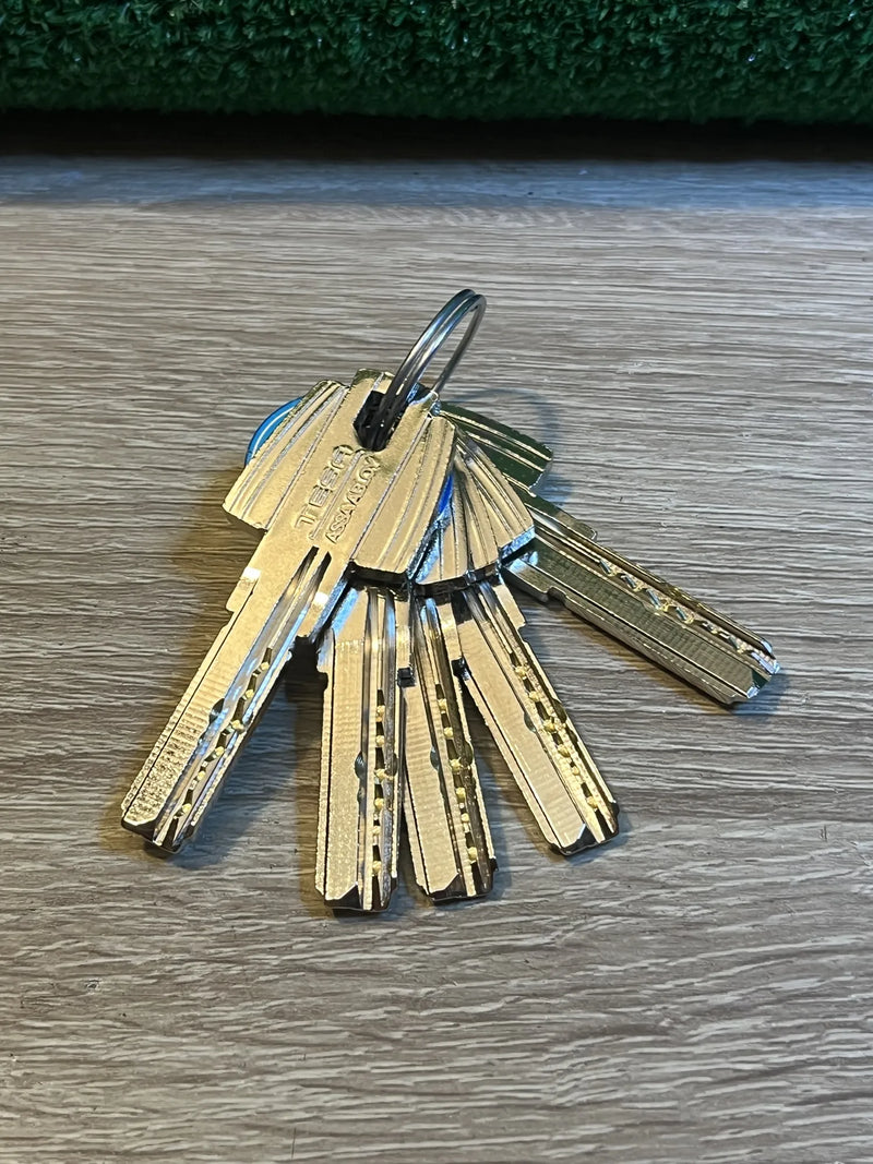 Cilindro Tesa Seguridad T60 Tesa Assa Abloy