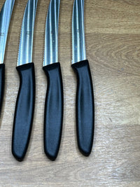 Juego de 6 cuchillos de cocina ZWILLING