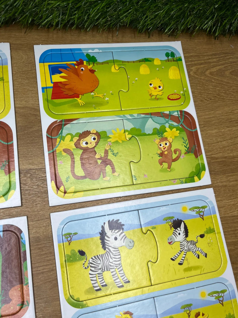 Juego de Lógica y Reflexión Lisciani
