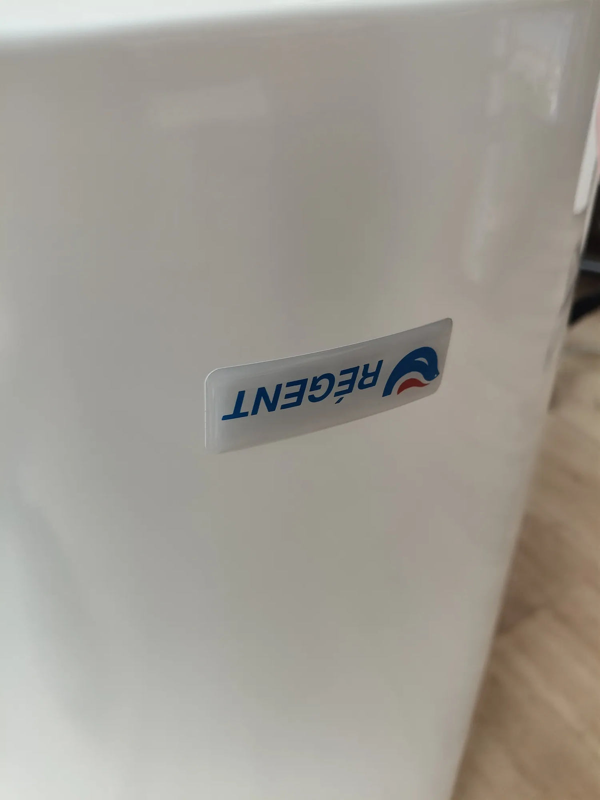 Termo Eléctrico 80 Litros - REGENT