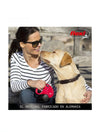 Correa extensible para perros - Flexi