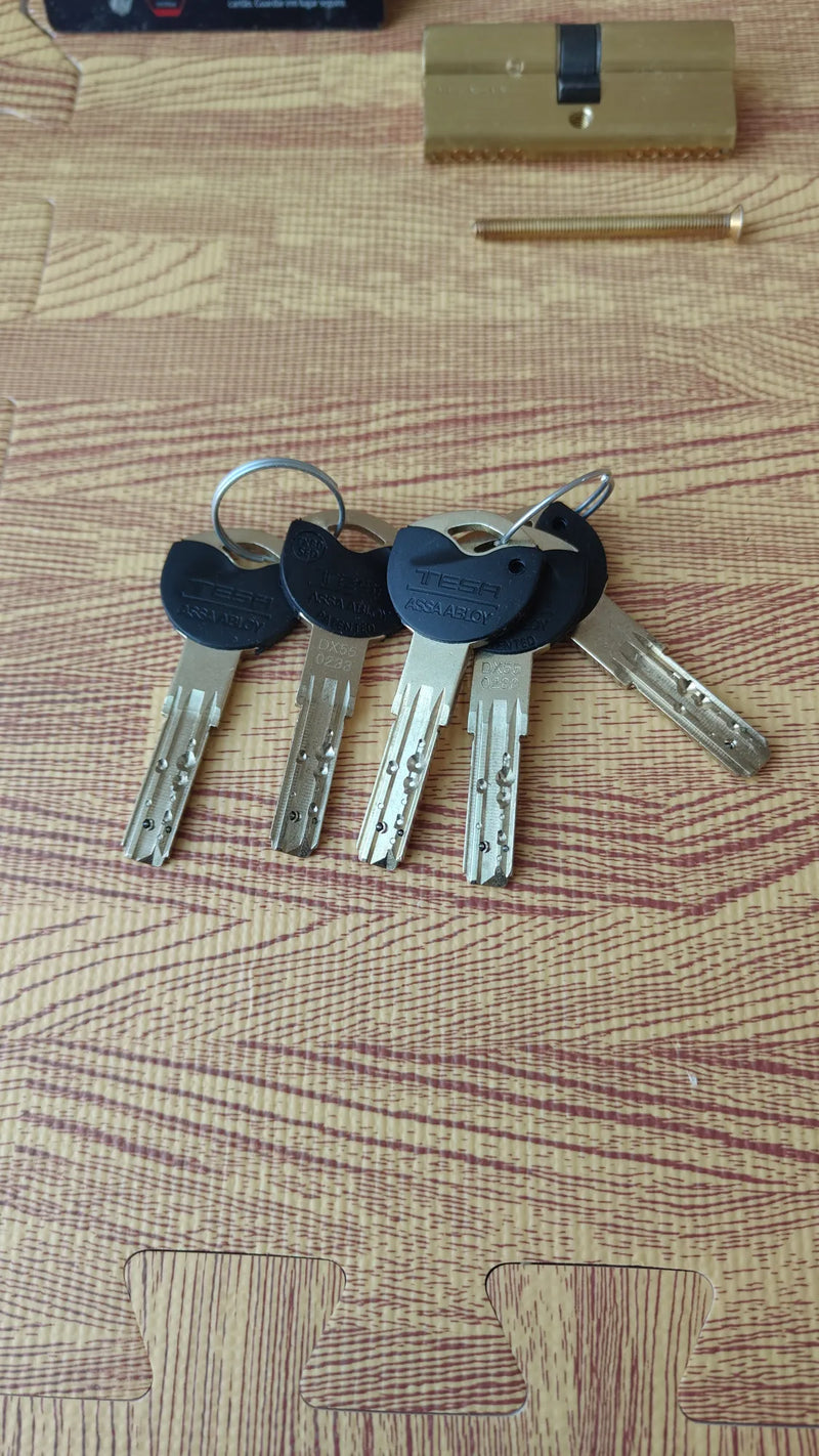 Cilindro de Alta Seguridad, TX80, Doble Embrague
