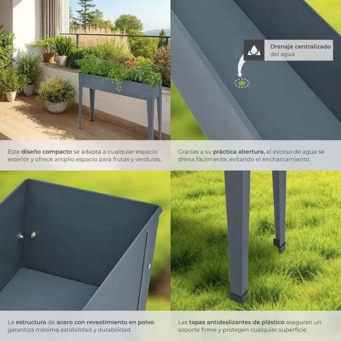 Caléndula para jardinería color antracita