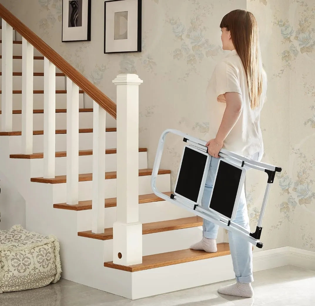 Escalera de tijera con 2 peldaños