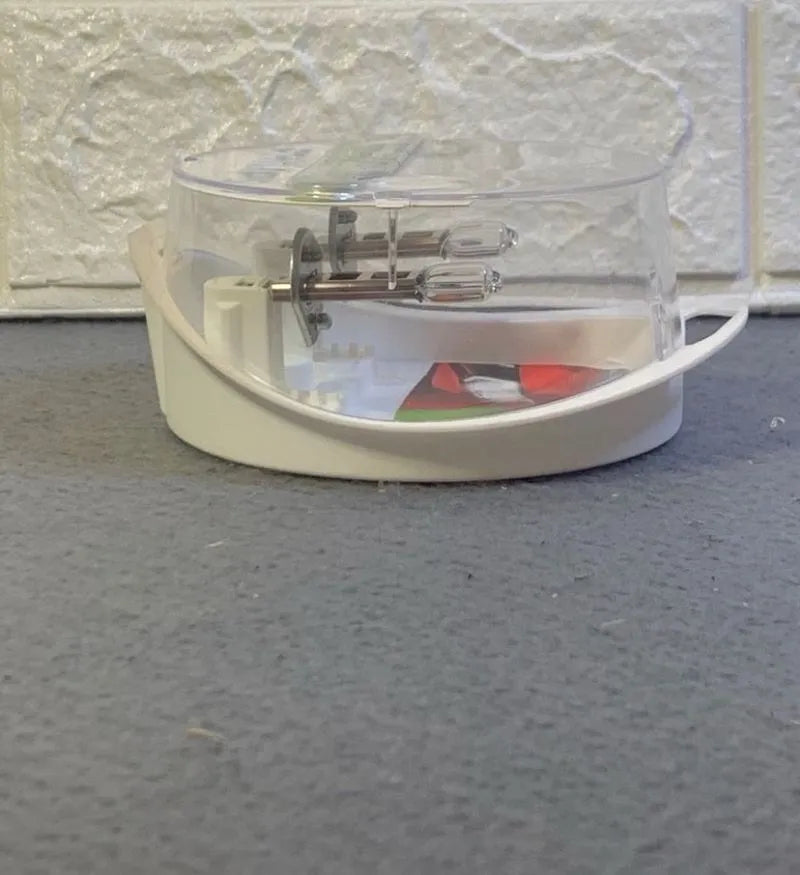 Bombillas para faros delanteros H1 Philips