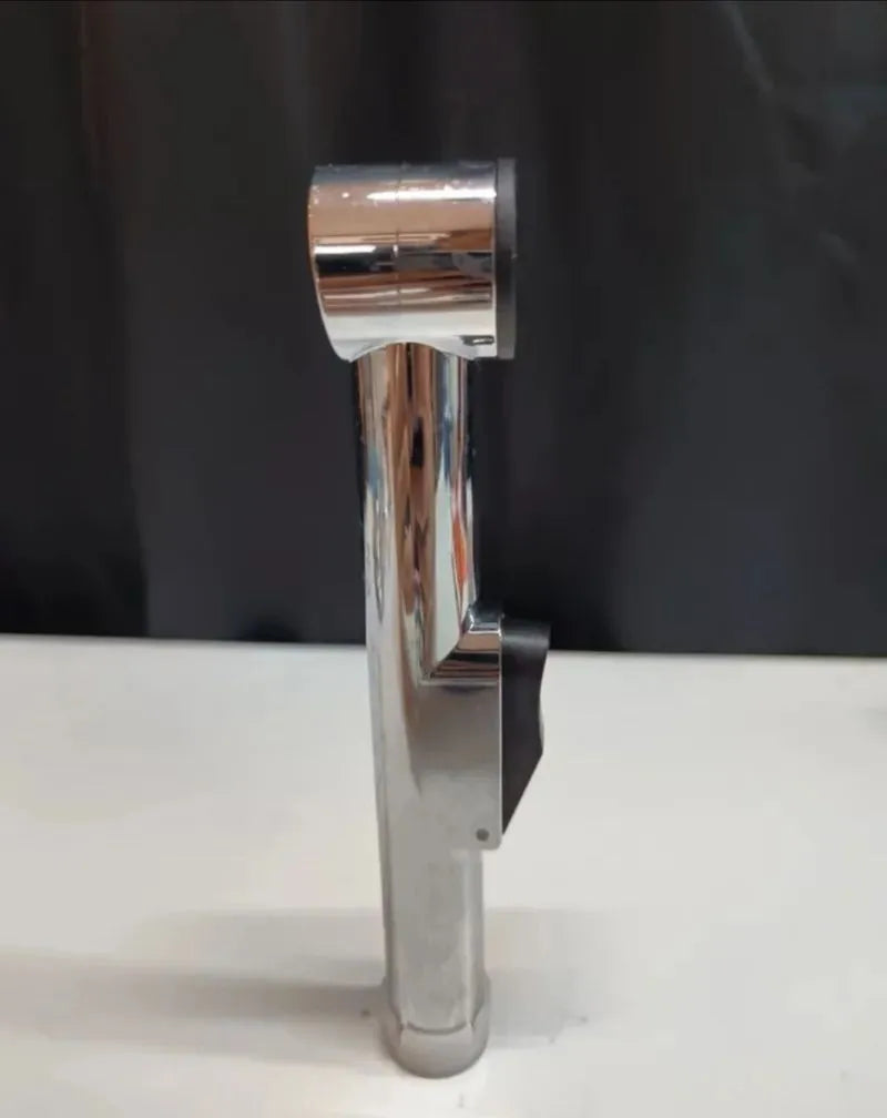 Alcachofa de Bidet
