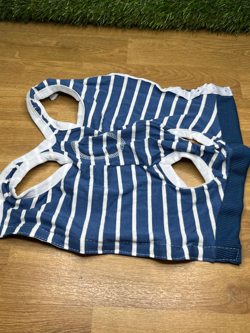 Traje de Recuperación para Perros