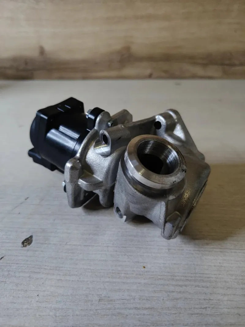 Válvula EGR EG10507 -  DELPHI