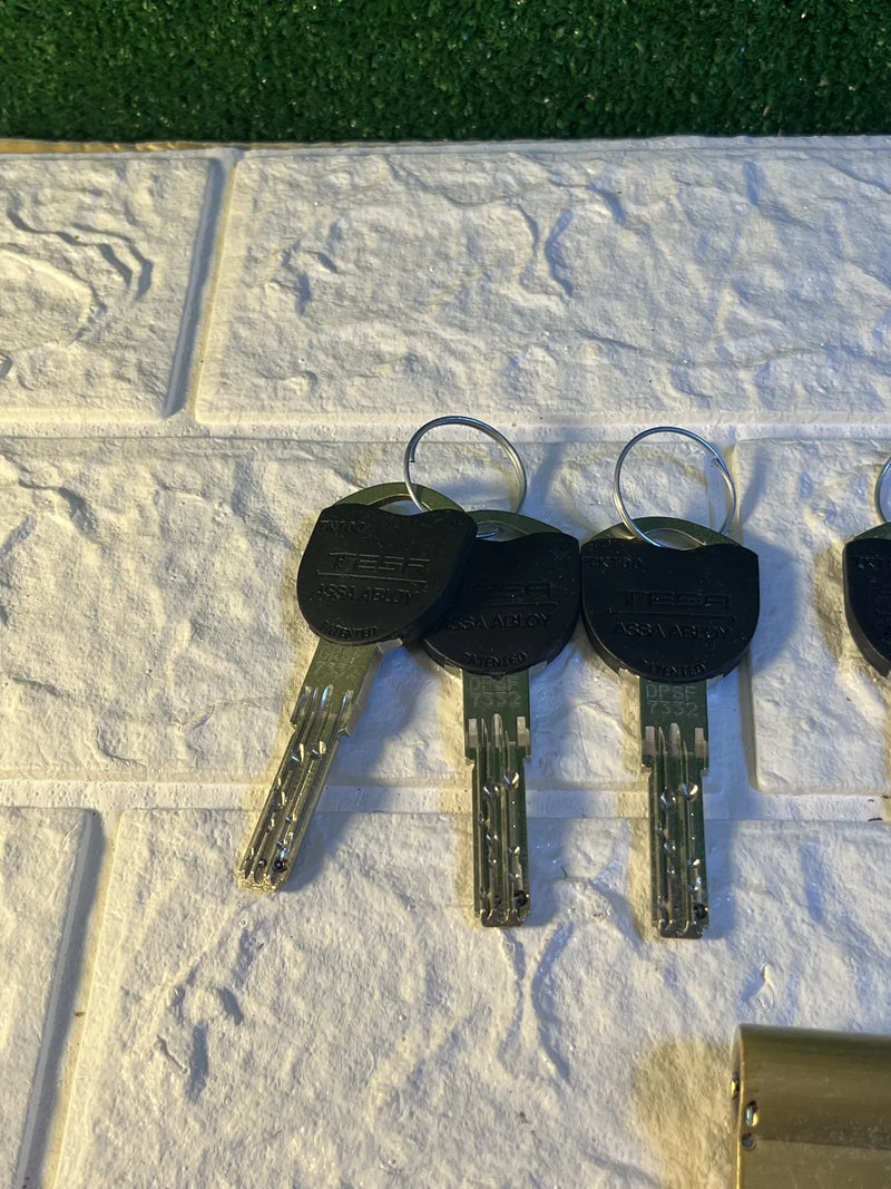 Cilindro de Alta Seguridad Tesa Assa Abloy
