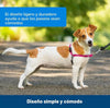 Arnés de paseo con anillas - Petsafe
