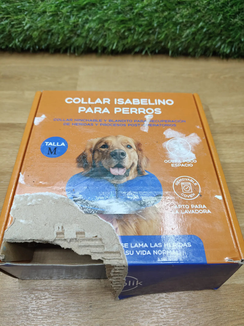 Collar isabelino Perro