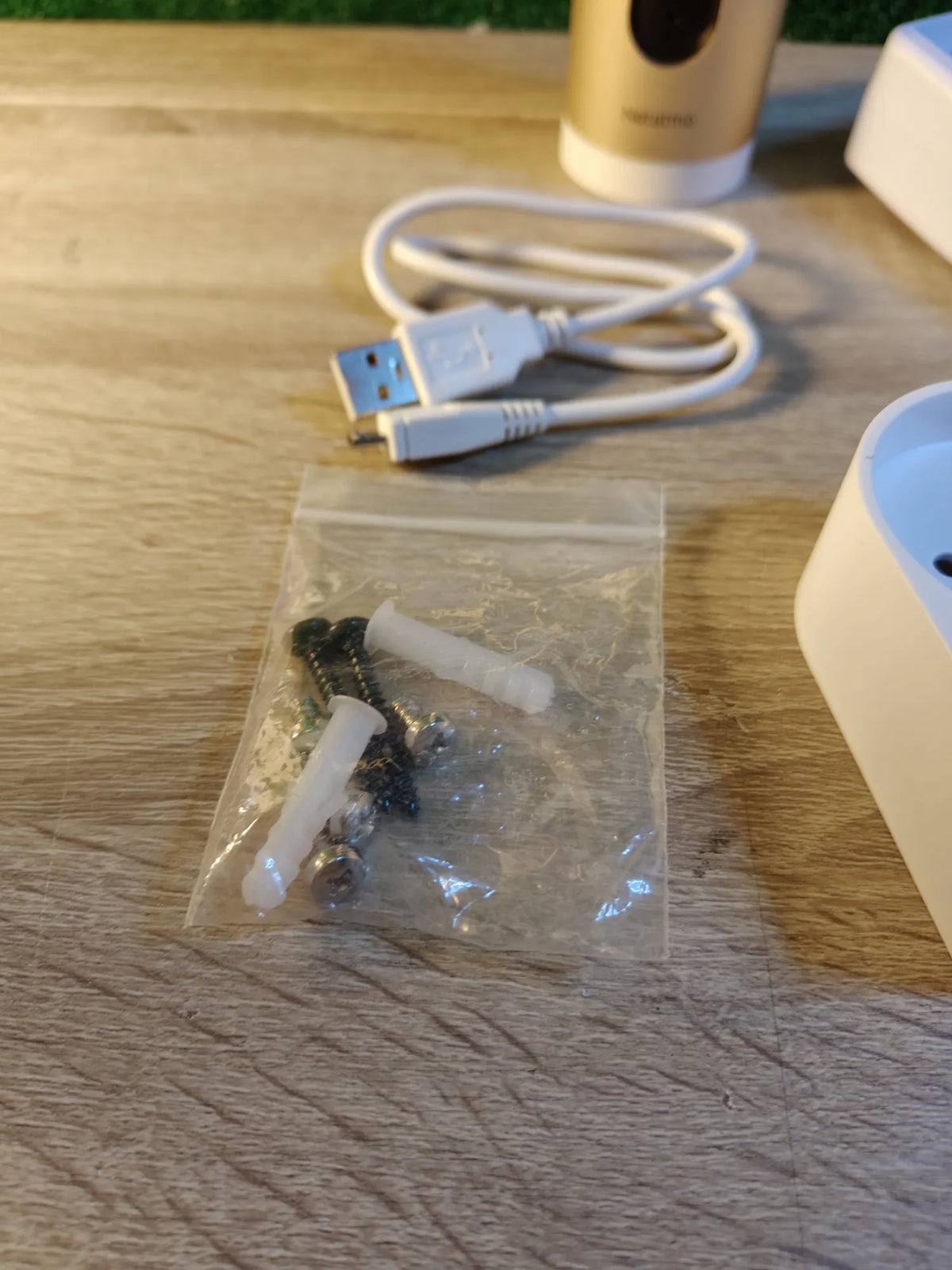 Cámara de Vigilancia Interior Netatmo