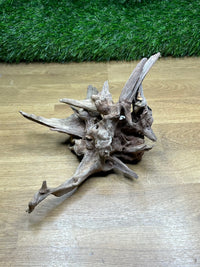 Madera De Ikebana Acuario Amtra
