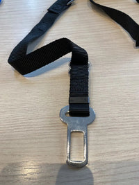 Arnés para Coche para Perros
