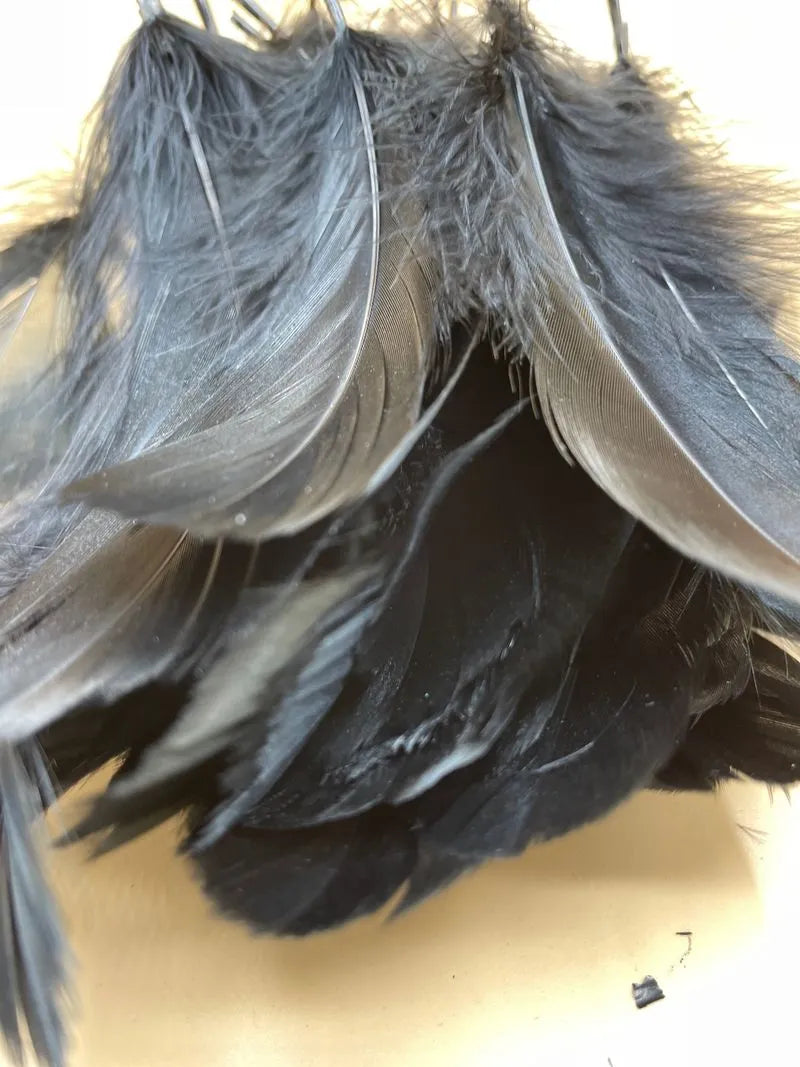 Plumas De Decoración, Piezas