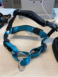 Correa para Perros PetSafe Easy Walk Deluxe Azul