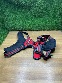 Arnes Perro Mediano con 3 Hebillas rabbitgoo