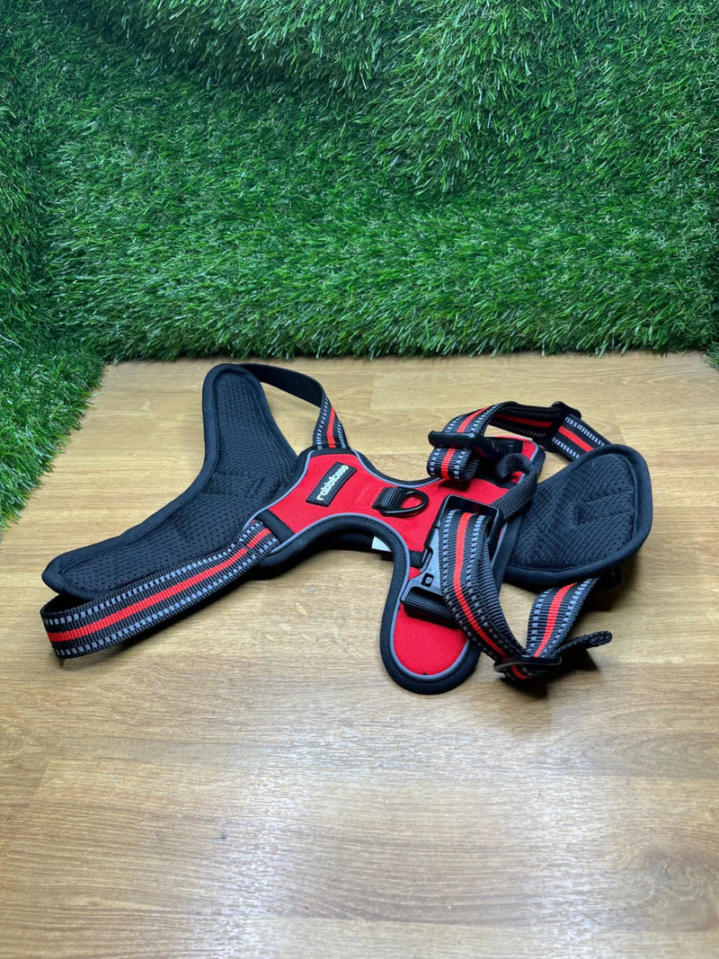Arnes Perro Mediano con 3 Hebillas rabbitgoo