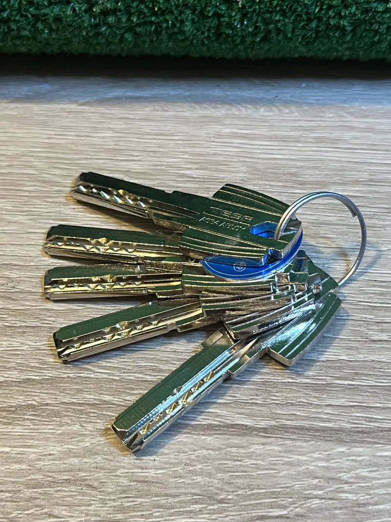 Cilindro Tesa Seguridad T60 Tesa Assa Abloy