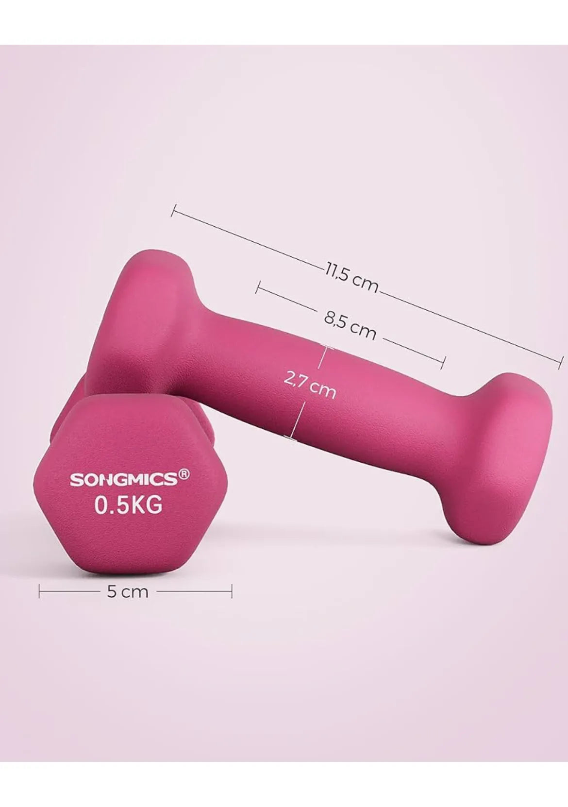 Juego de 2 Mancuernas 0,5kg SONGMICS