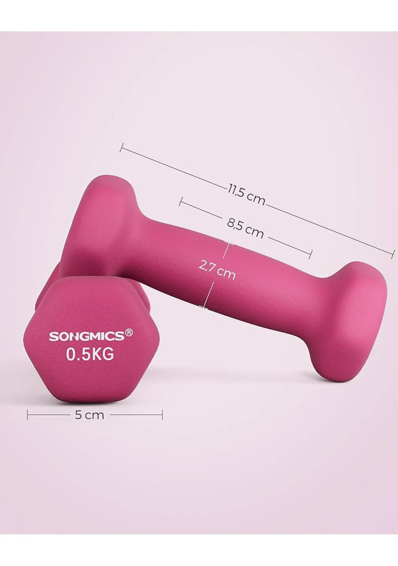 Juego de 2 Mancuernas 0,5kg SONGMICS