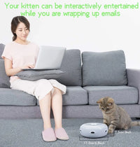 Juegos para Gatos Interactivos